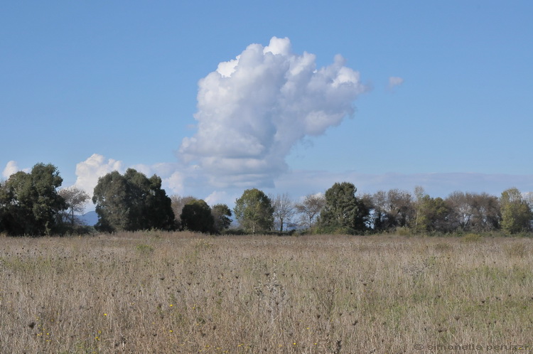 Oasi di Orbetello